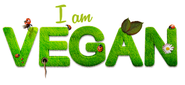 VEGAN Ausleitungs- und Entgiftungspaket VEGAN Ausleitungs- und Entgiftungspaket