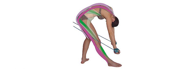 Seil zum Spiralmuskeltraining nach Dr. Richard Smisek